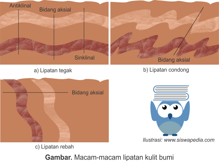 Detail Gambar Epirogenetik Positif Nomer 53