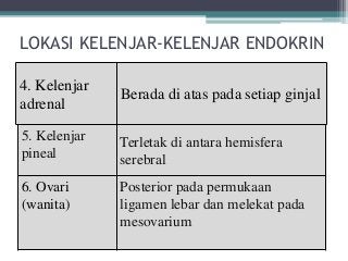 Detail Gambar Epitel Kelenjar Endokrin Nomer 23