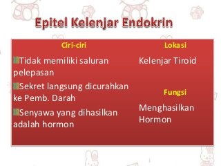 Detail Gambar Epitel Kelenjar Endokrin Nomer 34