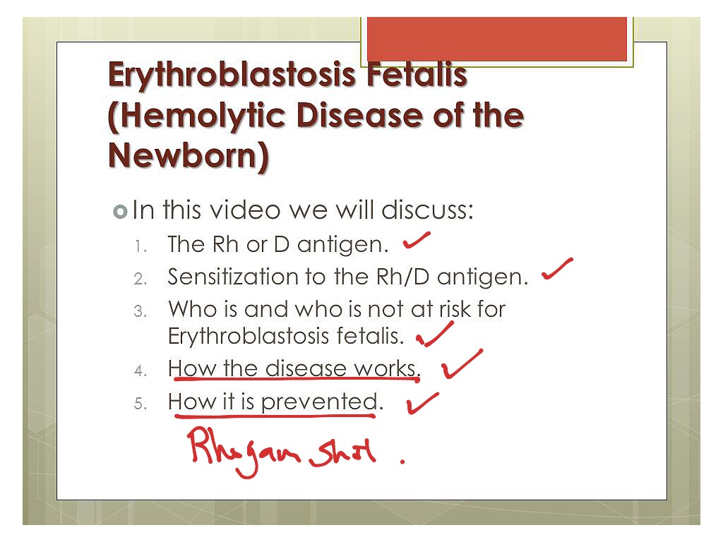 Detail Gambar Eritroblastosis Fetalis Nomer 37