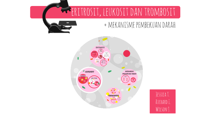 Detail Gambar Eritrosit Leukosit Dan Trombosit Nomer 26