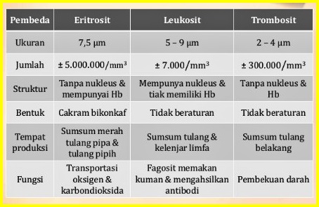 Detail Gambar Eritrosit Leukosit Dan Trombosit Nomer 34