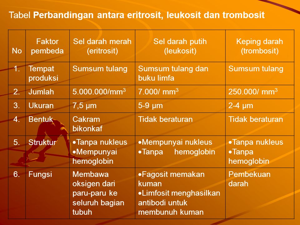 Detail Gambar Eritrosit Leukosit Dan Trombosit Nomer 42