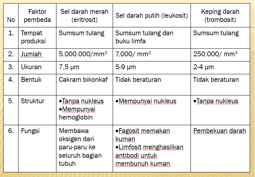 Detail Gambar Eritrosit Leukosit Dan Trombosit Nomer 45