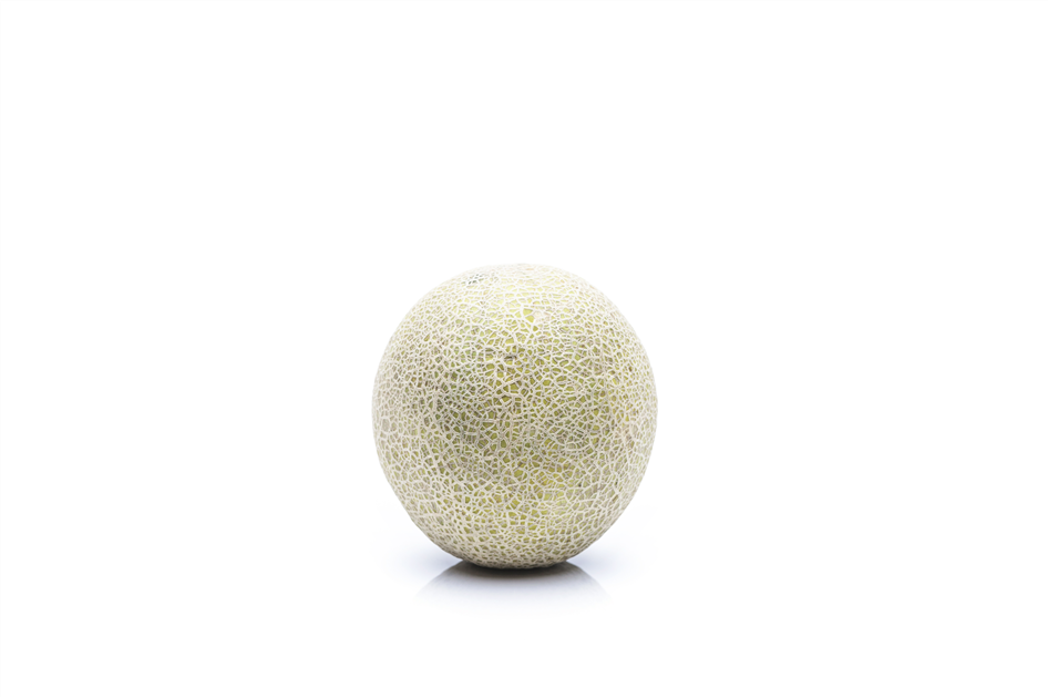 Detail Mango Melone Pflanze Nomer 12