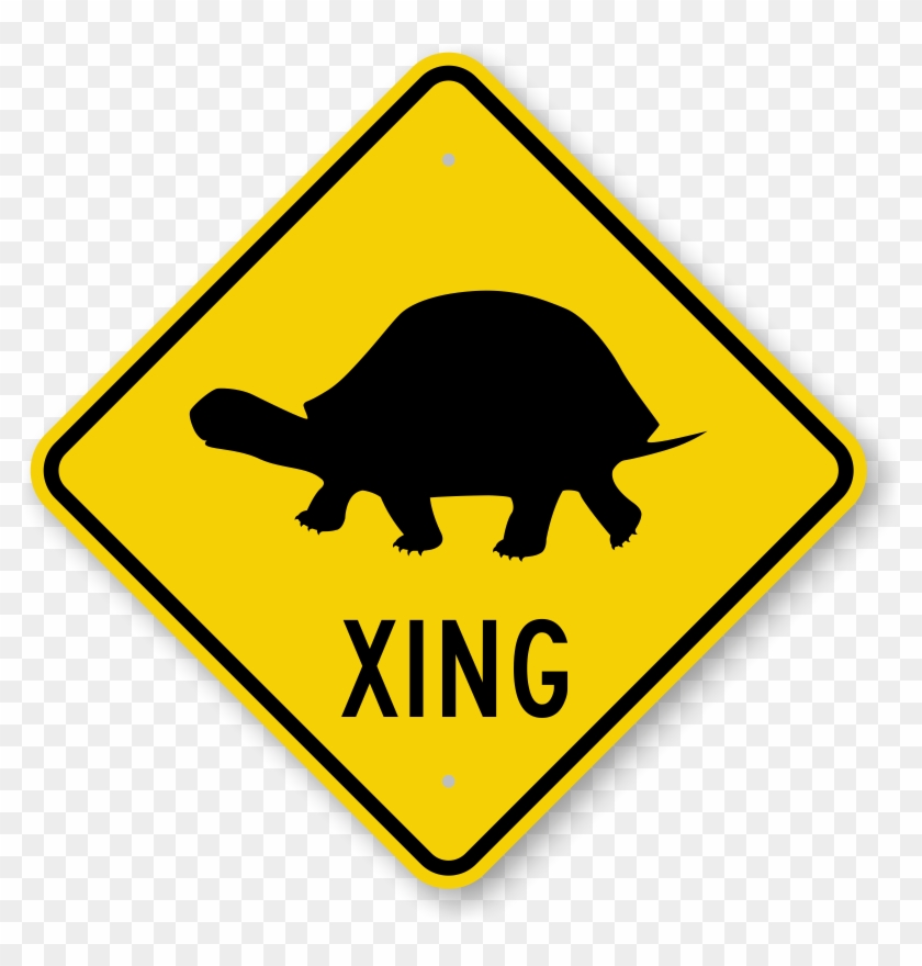 Detail Australian Road Signs Kangaroo Nomer 25