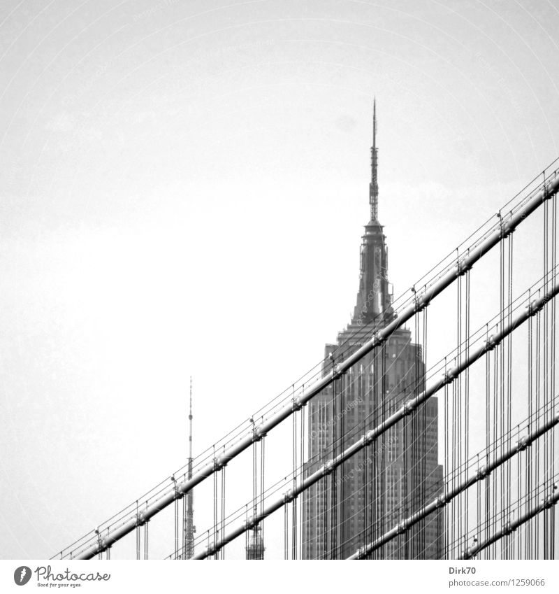 Detail Empire State Building Aussicht Nachts Nomer 12