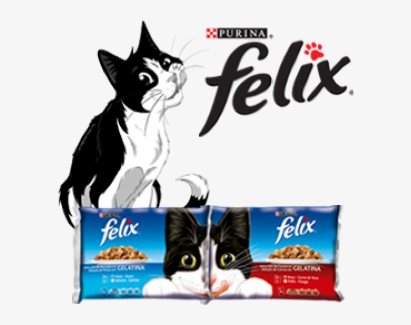 Felix Purina Logo - KibrisPDR