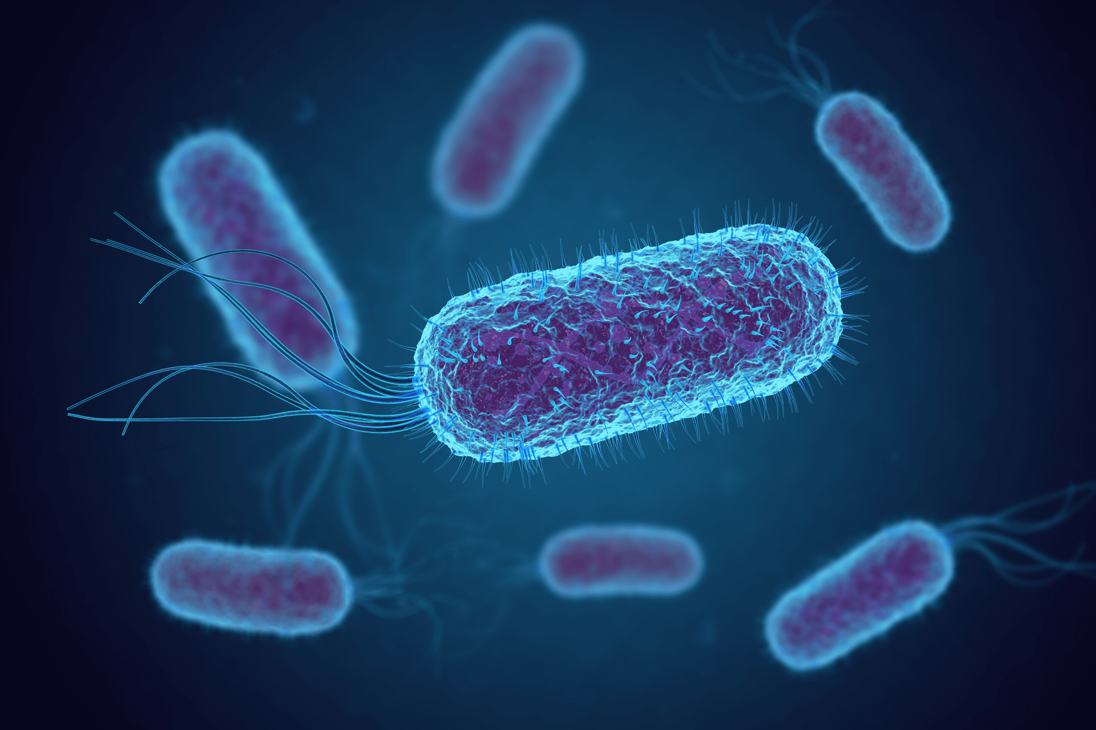 Detail Gambar Escherichia Coli Nomer 9