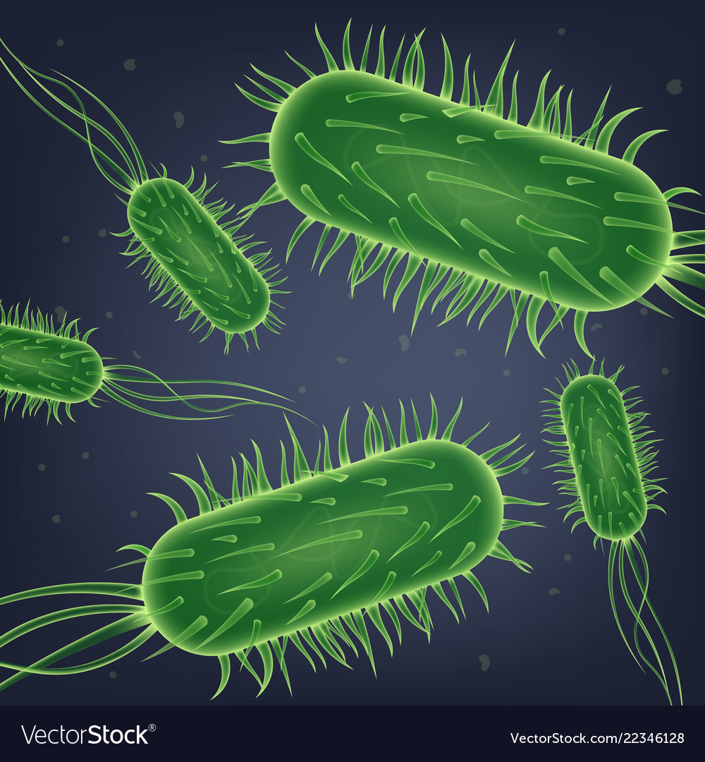 Detail Gambar Escherichia Coli Nomer 16