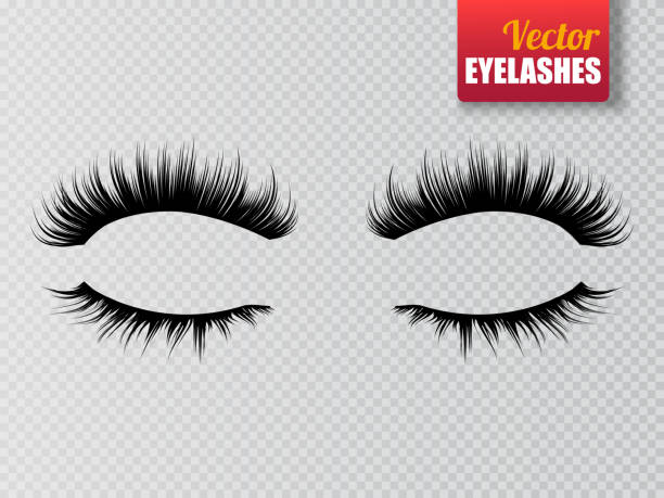 Detail Gambar Eyelash Extension Nomer 54