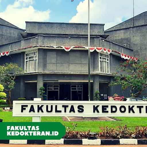 Detail Gambar Fakultas Kedokteran Unri Nomer 19