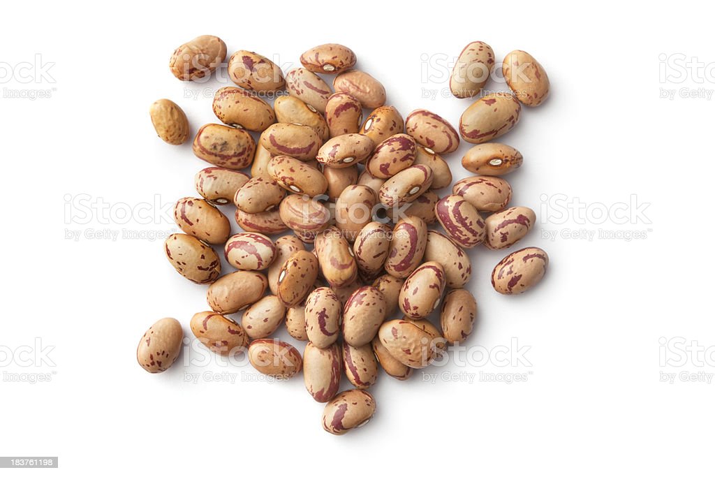 Detail Gambar Famili Kacang Nomer 5