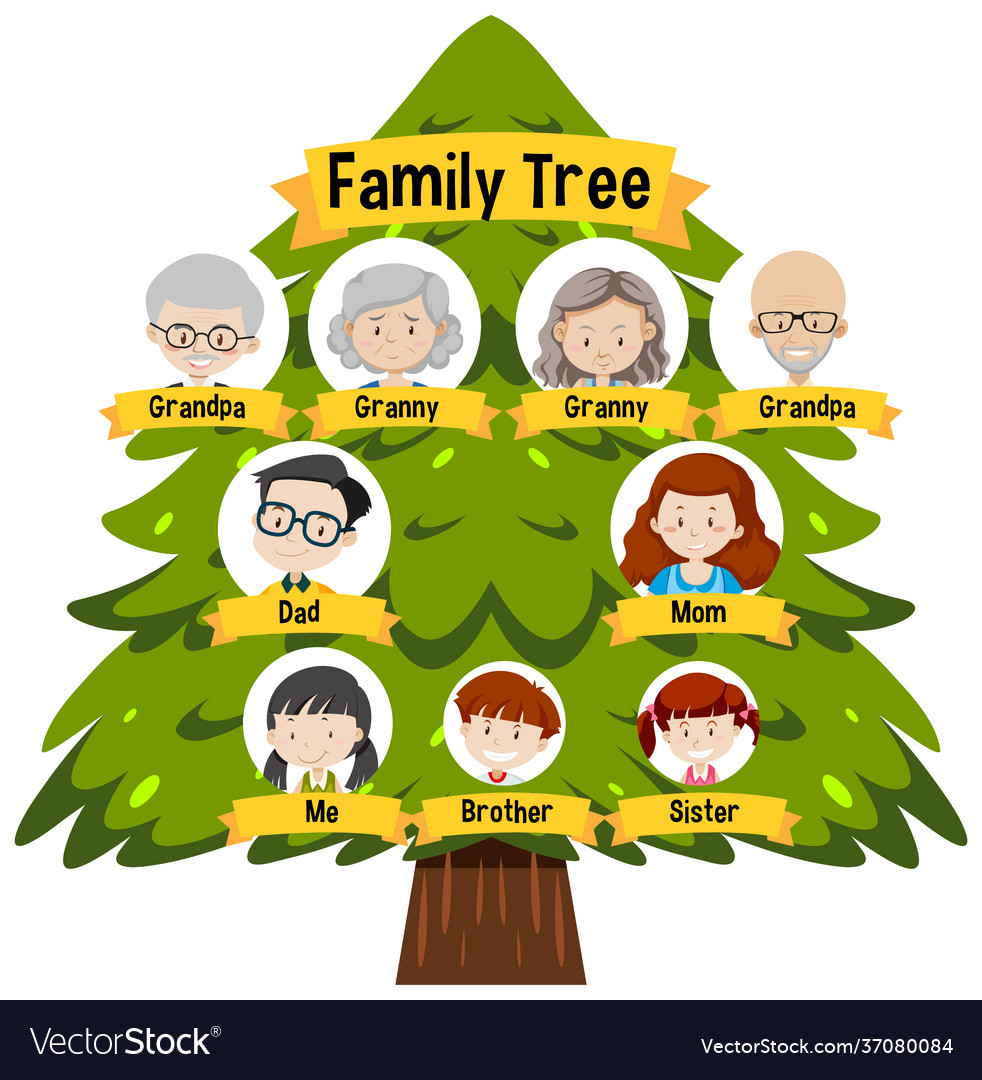 Detail Gambar Family Tree Nomer 11