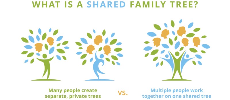 Detail Gambar Family Tree Nomer 31