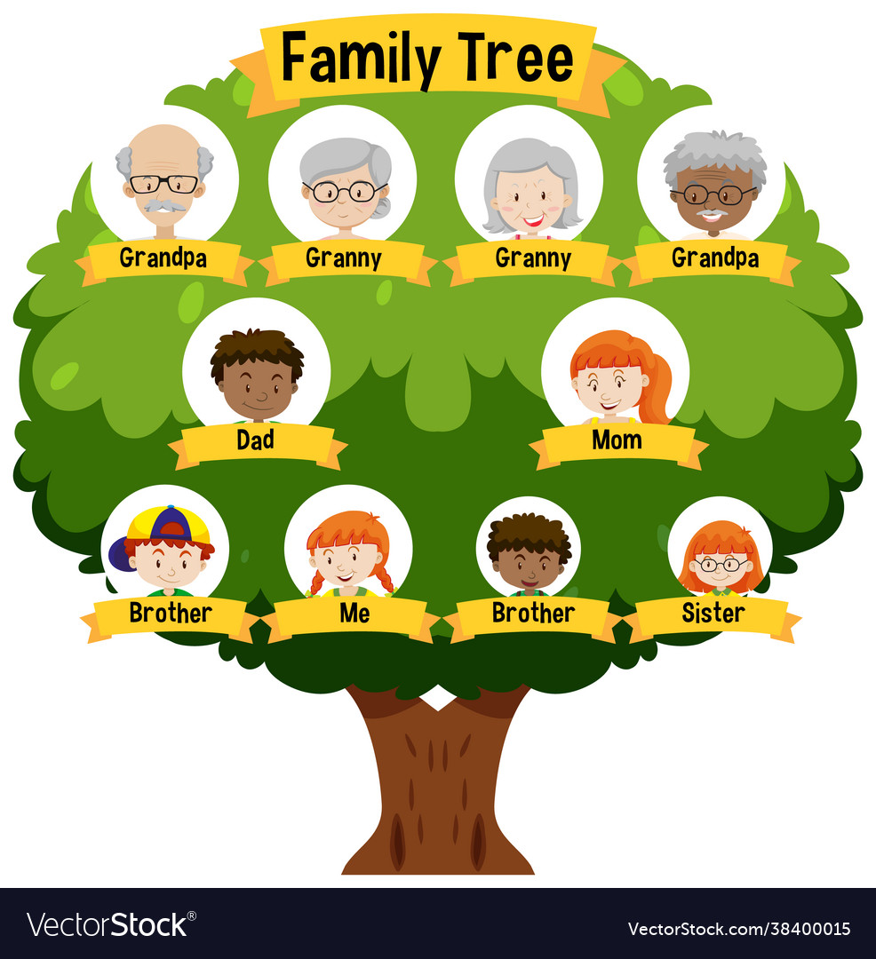 Detail Gambar Family Tree Nomer 7