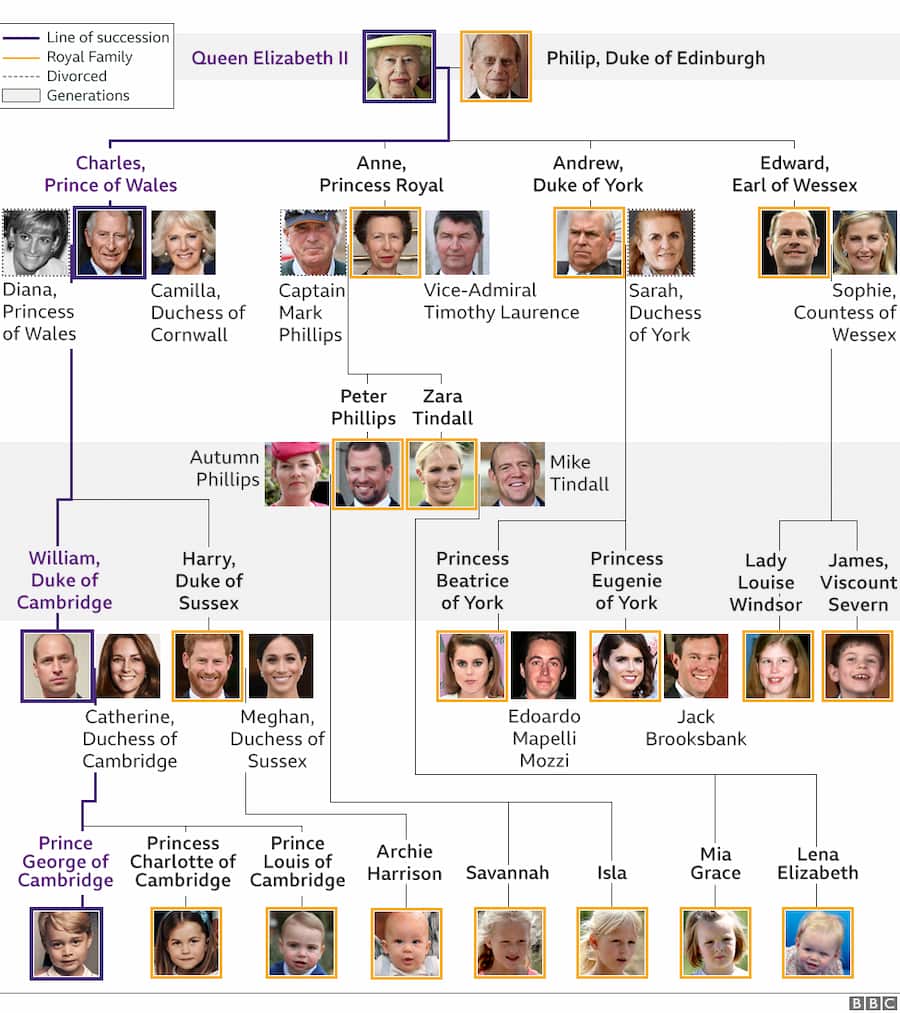 Detail Gambar Family Tree Bahasa Inggris Nomer 17