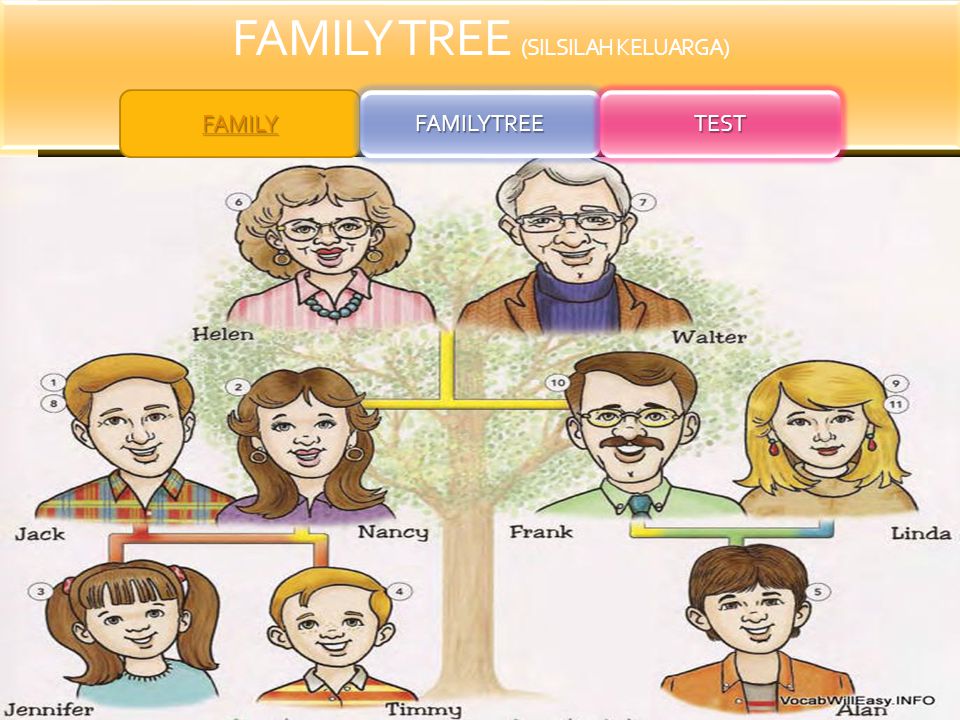 Detail Gambar Family Tree Bahasa Inggris Nomer 32