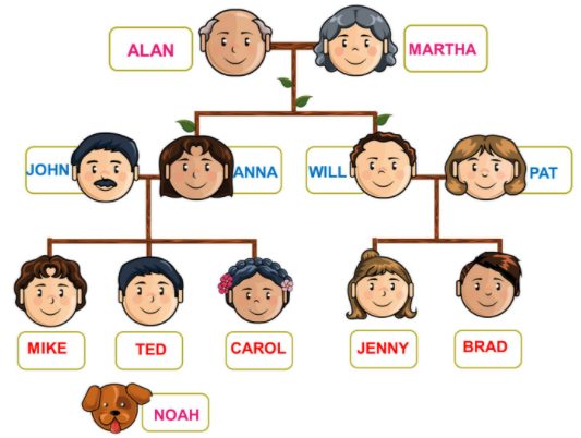 Detail Gambar Family Tree Bahasa Inggris Nomer 44