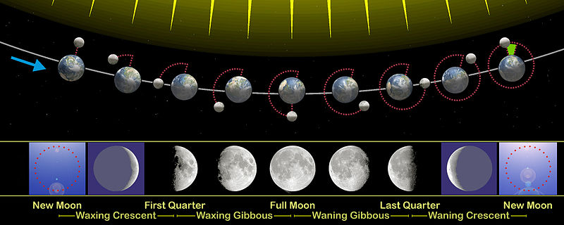 Detail Gambar Fase Bulan Dan Keterangannya Nomer 44