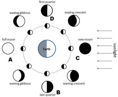Detail Gambar Fase Fase Bulan Nomer 16