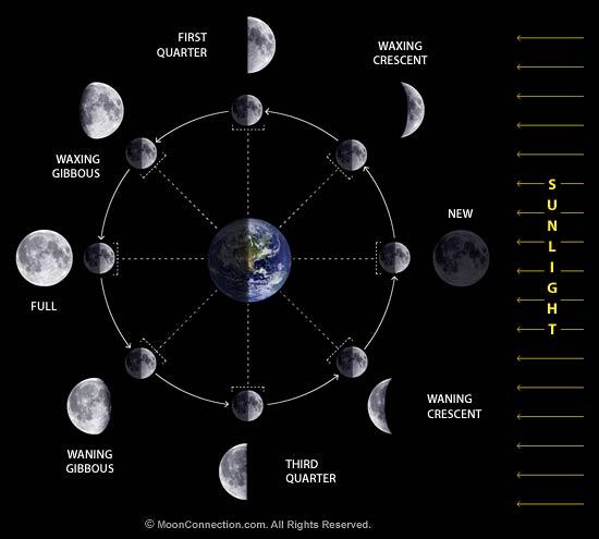 Detail Gambar Fase Fase Bulan Nomer 28