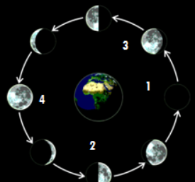 Detail Gambar Fase Fase Bulan Nomer 31