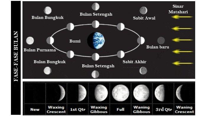 Detail Gambar Fase Fase Bulan Nomer 8