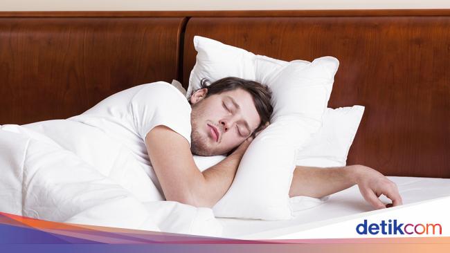 Detail Gambar Fase Fase Terjadinya Tidur Nomer 21