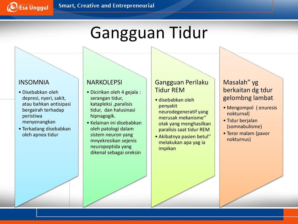 Detail Gambar Fase Fase Terjadinya Tidur Insomnia Nomer 23