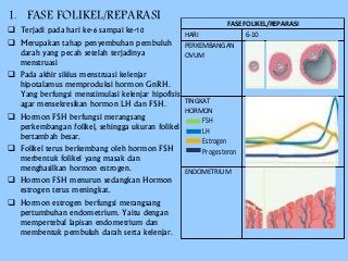 Detail Gambar Fase Menstruasi Nomer 29