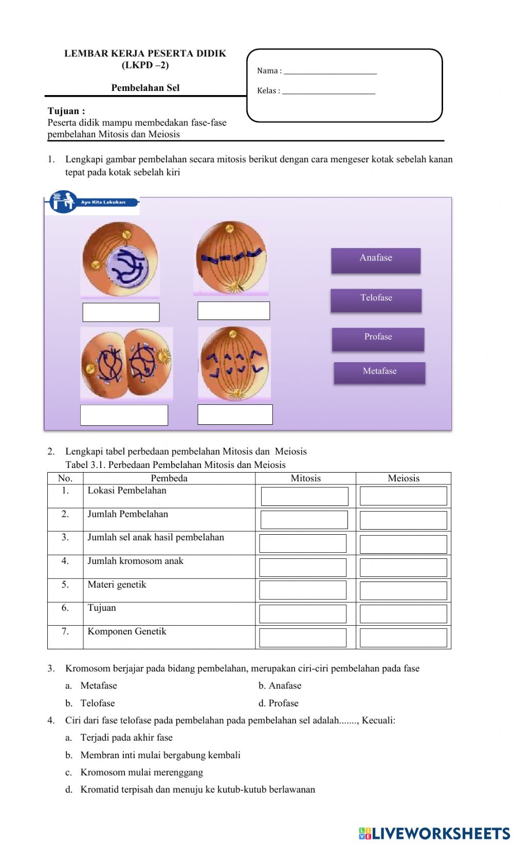 Detail Gambar Fase Metafase Pembelahan Mitosis Nomer 46