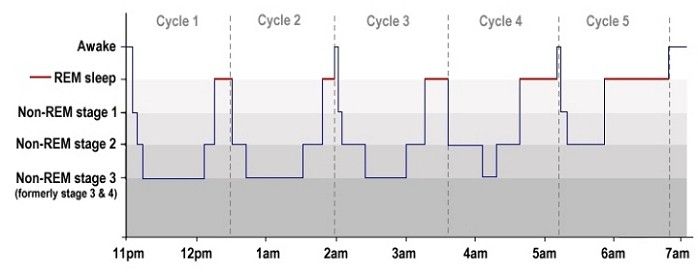 Detail Gambar Fase Tidur Nomer 2