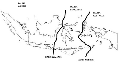 Detail Gambar Fauna Asiatis Australis Dan Peralihan Nomer 10