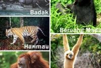 Detail Gambar Fauna Asiatis Australis Dan Peralihan Nomer 16