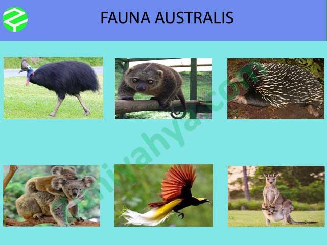 Detail Gambar Fauna Australis Nomer 21
