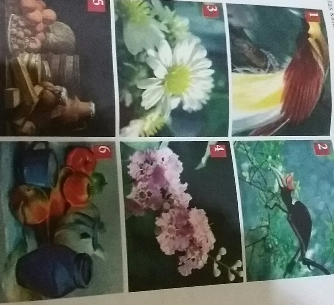 Detail Gambar Fauna Dan Alam Benda Nomer 51