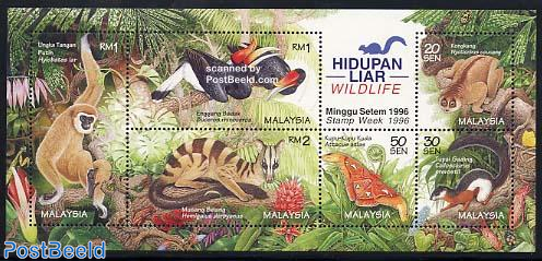 Detail Gambar Fauna Di Malaysia Nomer 17