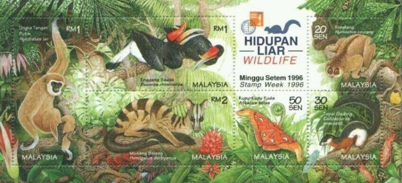 Detail Gambar Fauna Di Malaysia Nomer 36