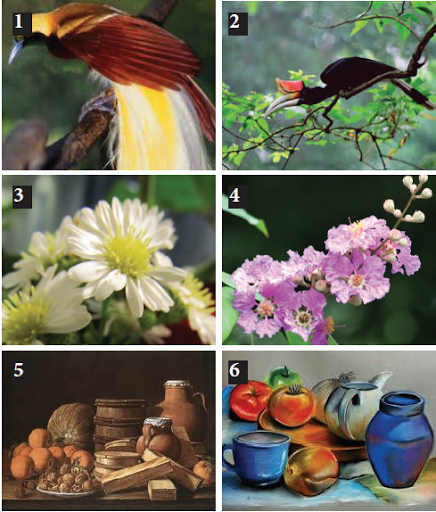 Detail Gambar Fauna Flora Dan Alam Benda Nomer 23