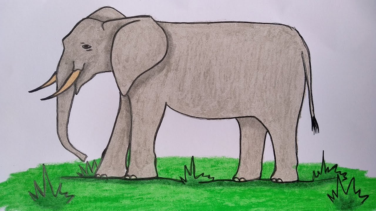 Detail Gambar Fauna Gajah Nomer 2