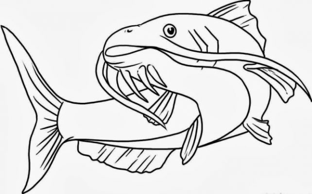 Detail Gambar Fauna Ikan Nomer 35