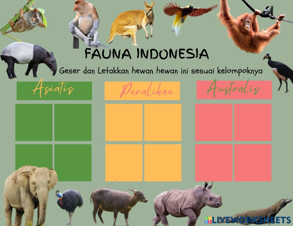 Detail Gambar Fauna Indonesia Nomer 36