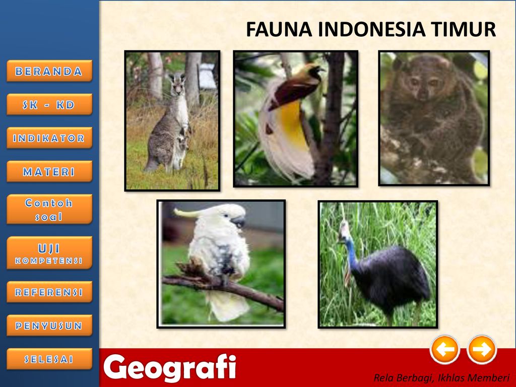 Detail Gambar Fauna Indonesia Bagian Timur Nomer 19