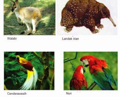 Detail Gambar Fauna Indonesia Bagian Timur Nomer 5