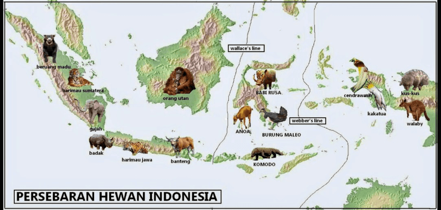 Detail Gambar Fauna Indonesia Dari Jawabarat Nomer 13