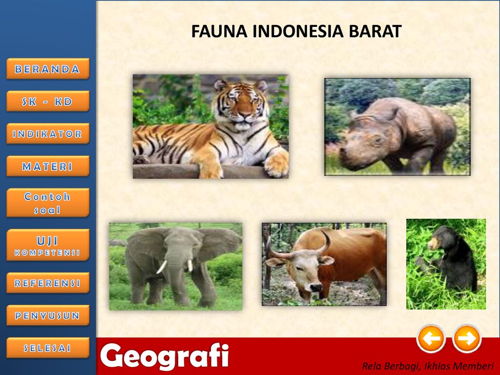 Detail Gambar Fauna Indonesia Dari Jawabarat Nomer 45