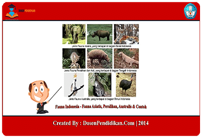 Detail Gambar Fauna Indonesia Dari Jawabarat Nomer 47