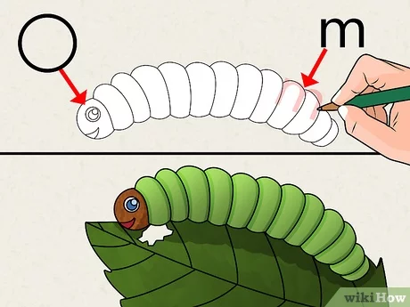 Detail Gambar Fauna Mudah Nomer 38