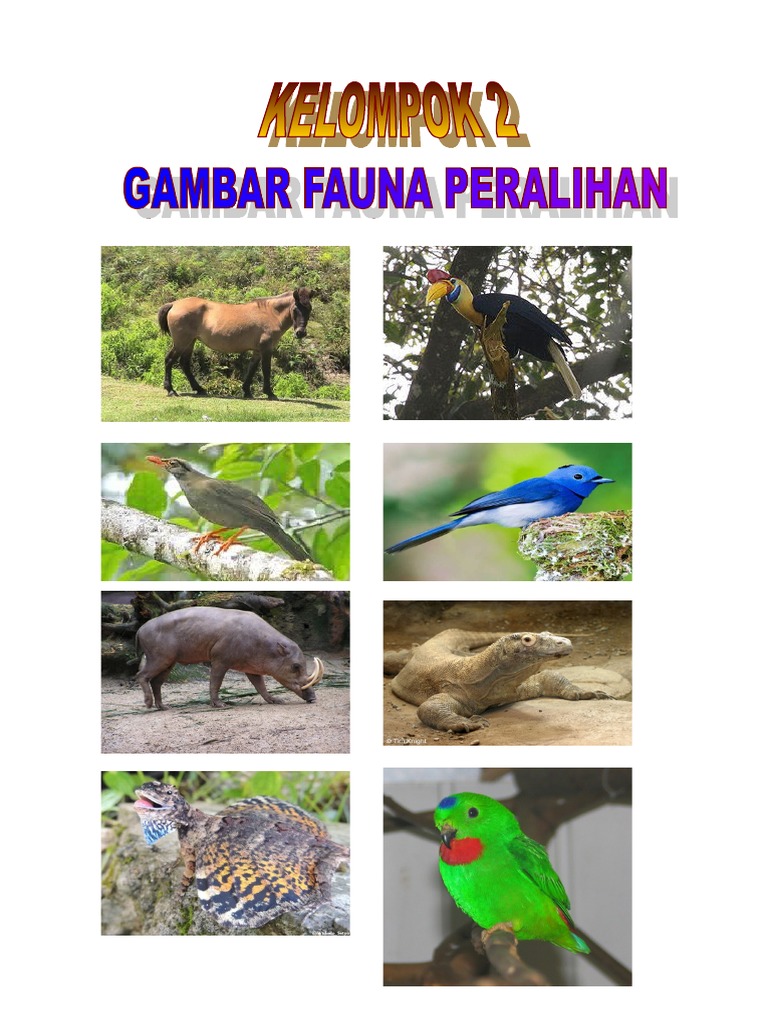 Detail Gambar Fauna Peralihan Nomer 12